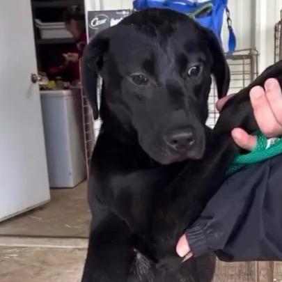 Felicia — thumbnail 3