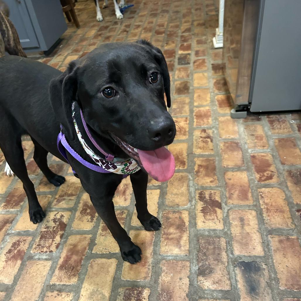 Felicia — thumbnail 4