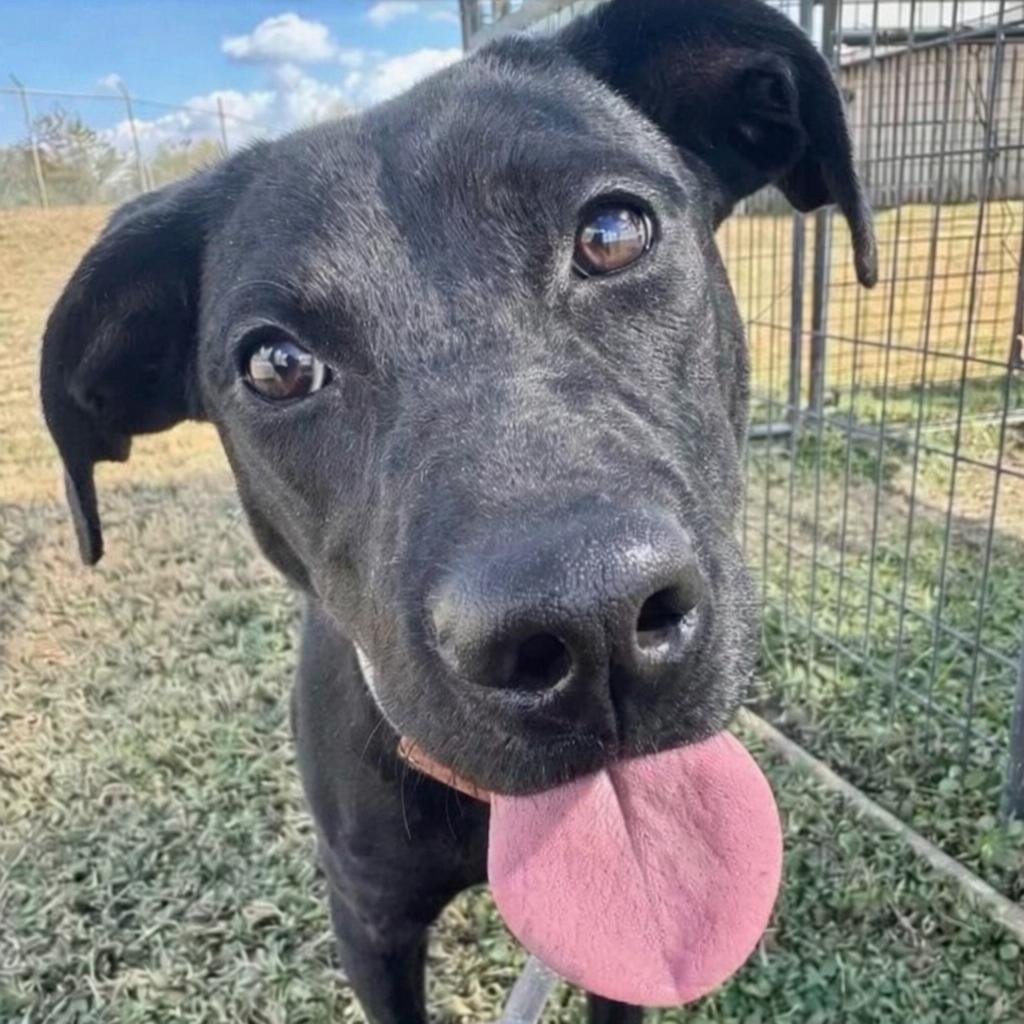 Felicia — thumbnail 5