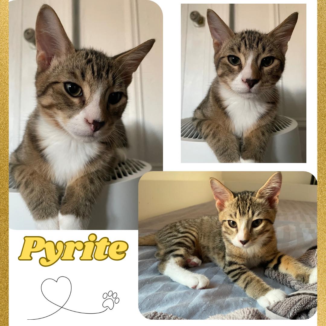 Peridot, Pyrite , and Fluorite