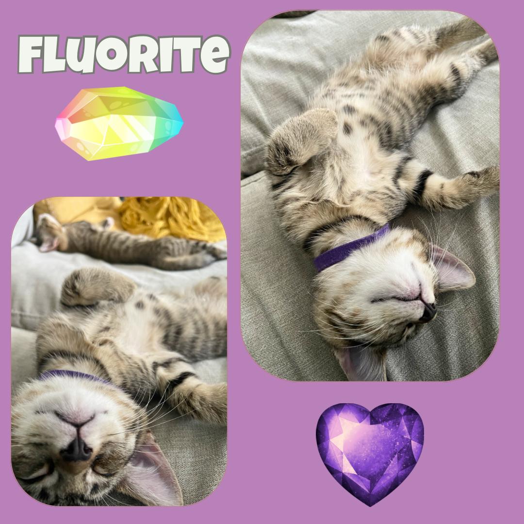 Peridot, Pyrite , and Fluorite