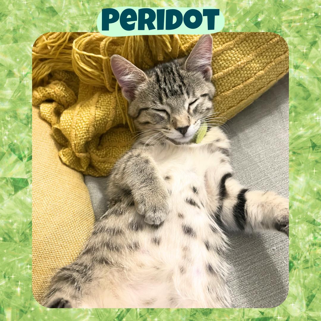 Peridot, Pyrite , and Fluorite