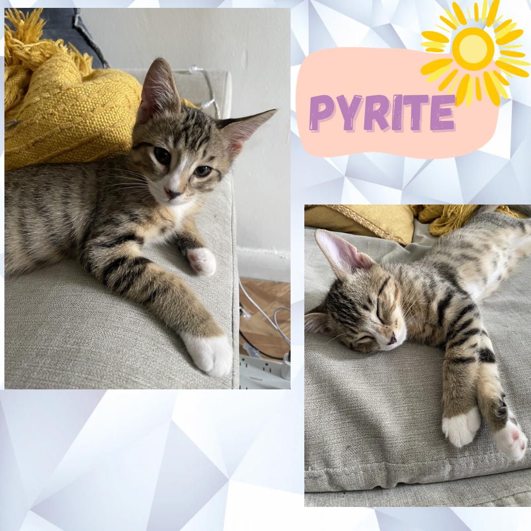 Peridot, Pyrite , and Fluorite