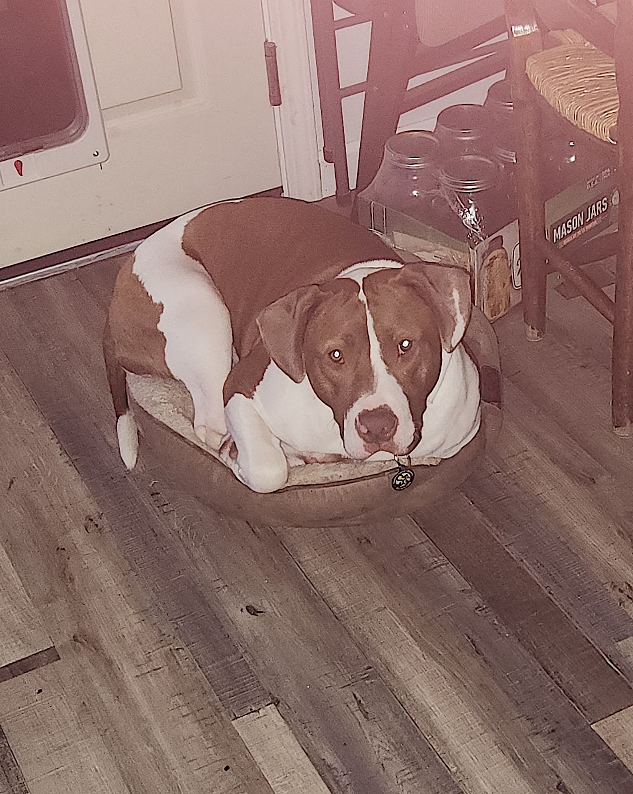 Sully photo 3