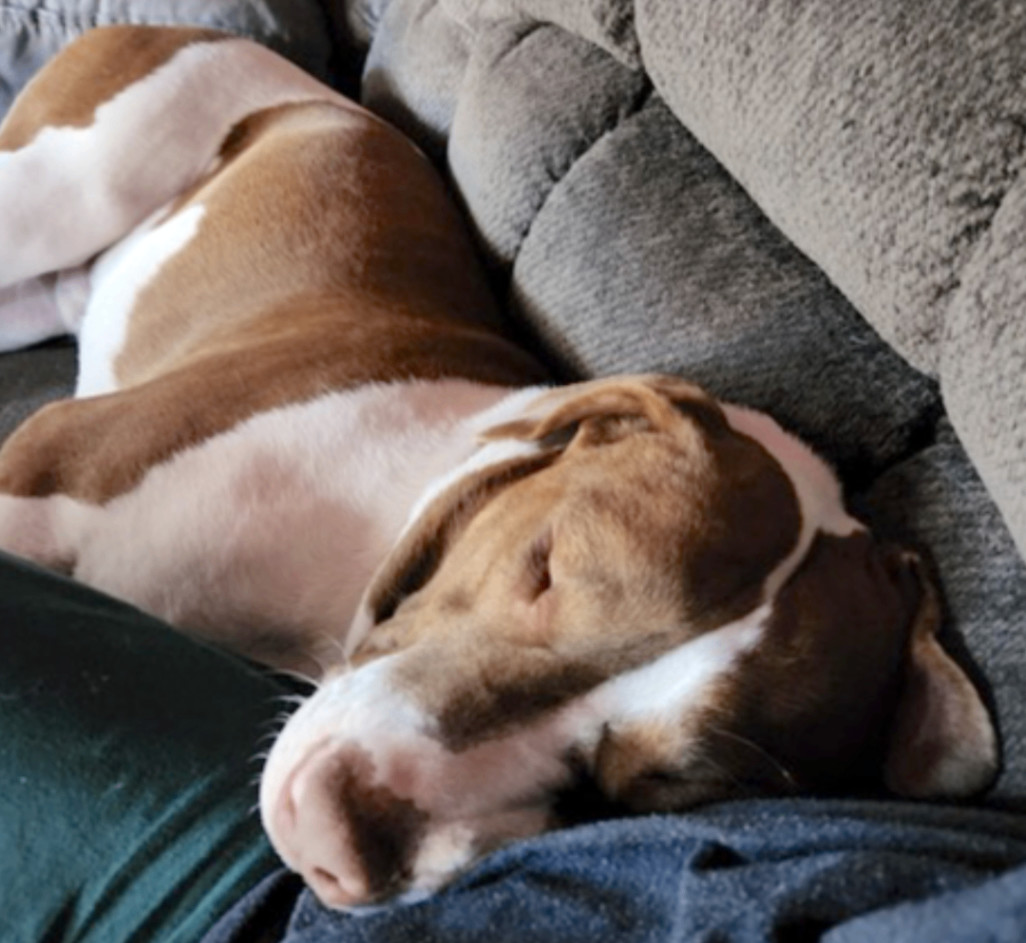 Sully photo 5