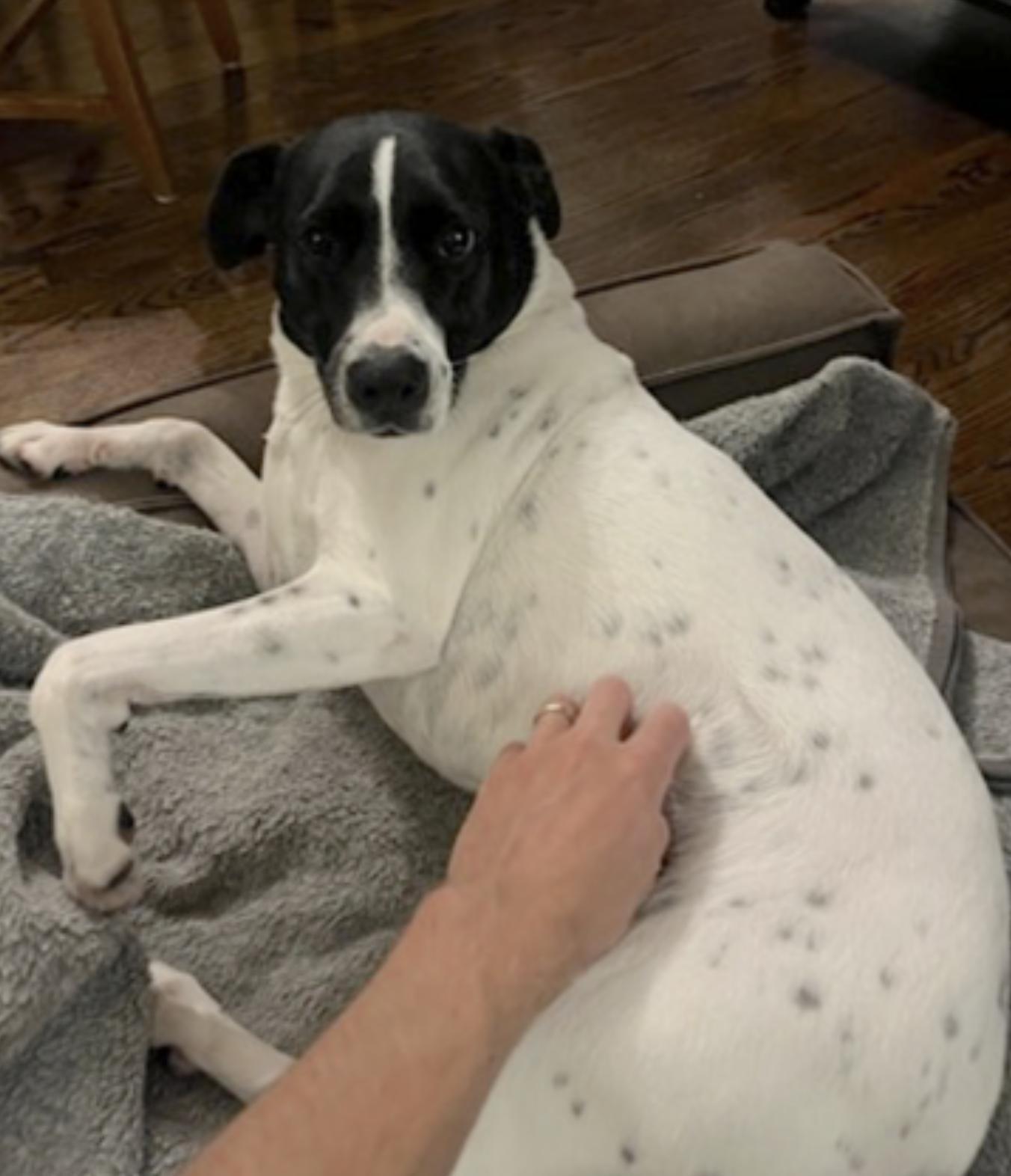 Tonks — thumbnail 2