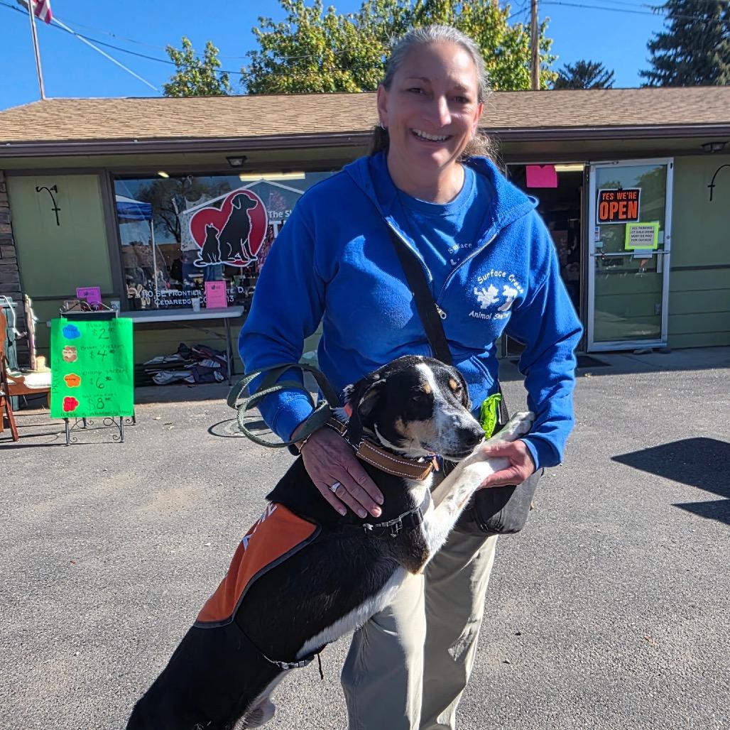 Enlarge TomRay, a Adoptable mixed breed in Cedaredge, CO image 3/6
