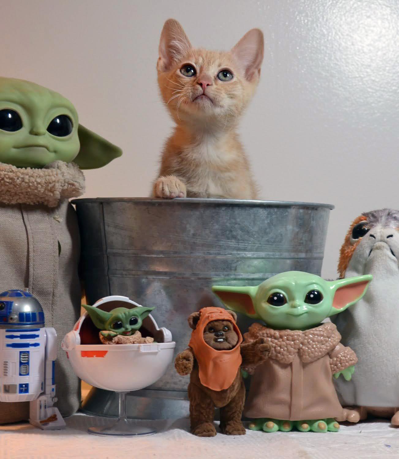 Luke Skywalker