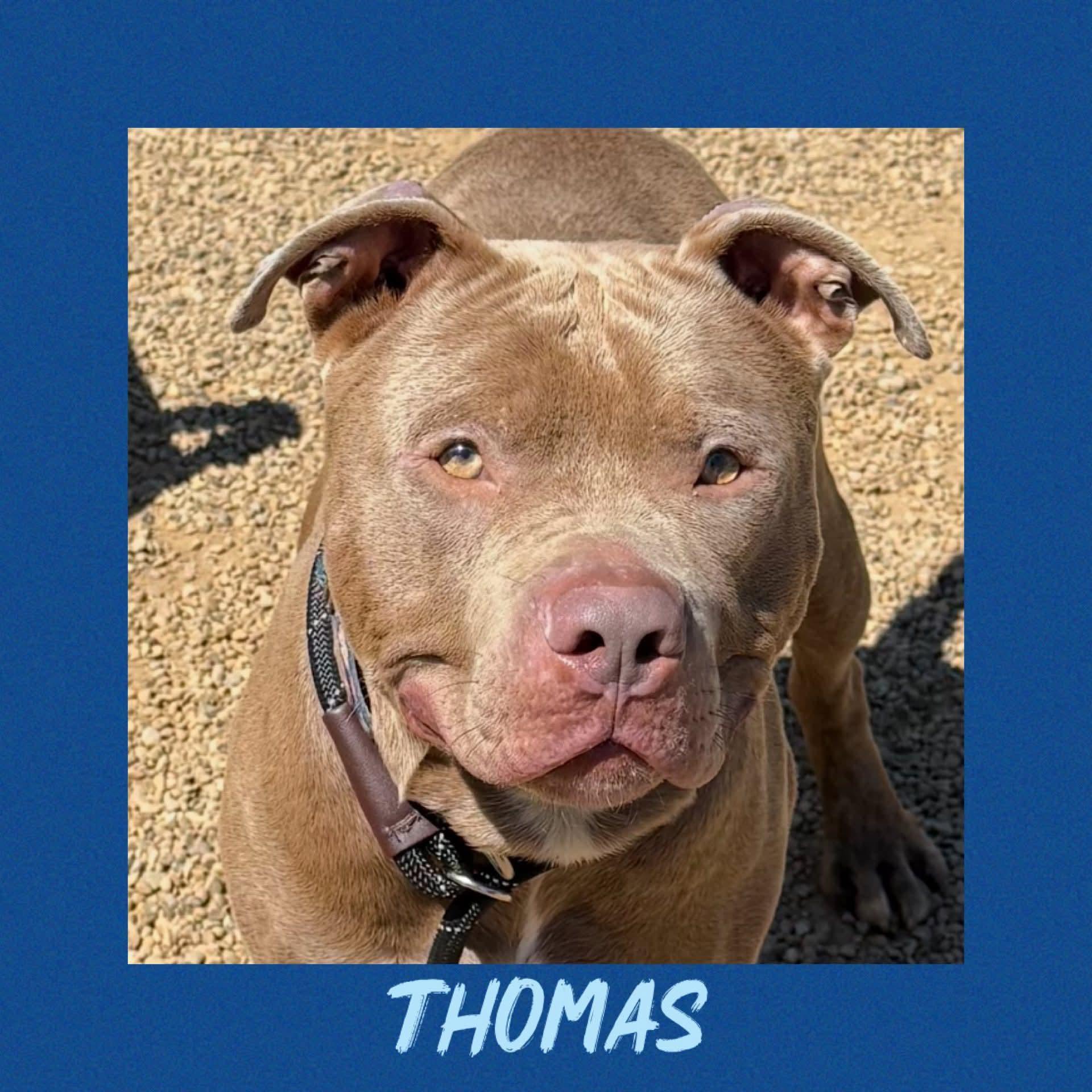 Thomas