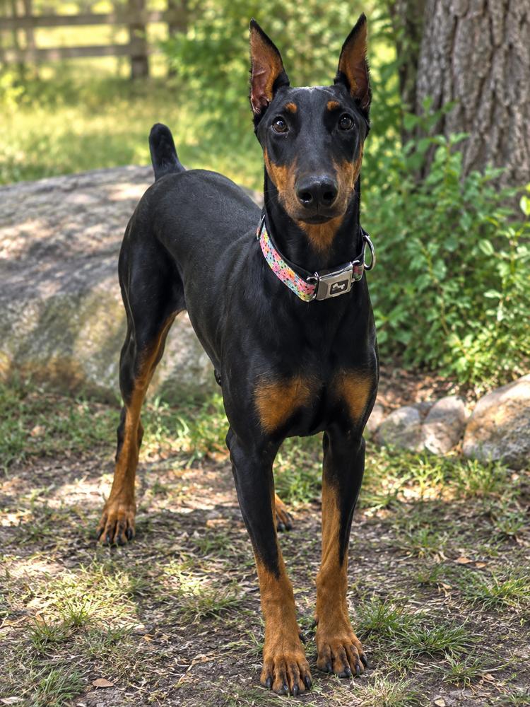 Trudy photo