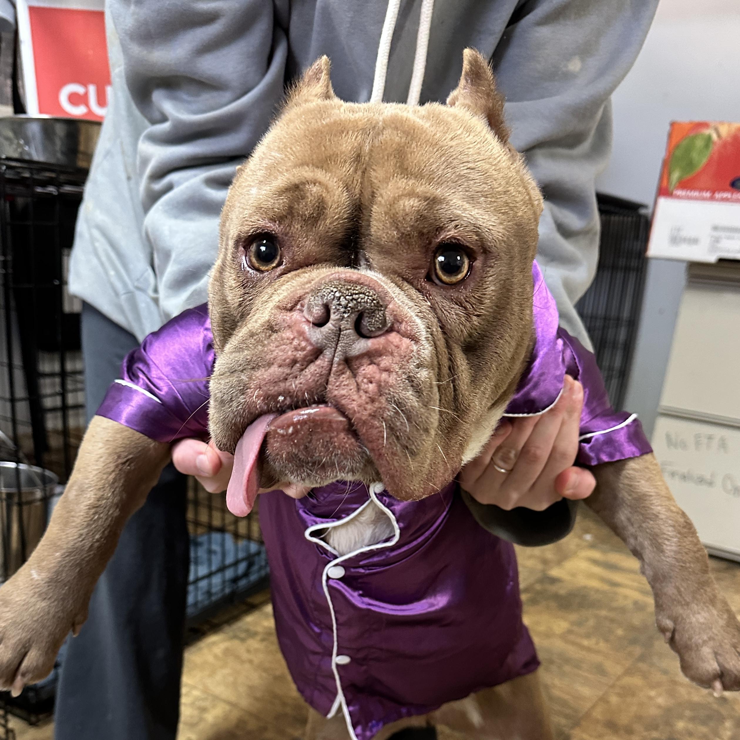 Babas — thumbnail 2