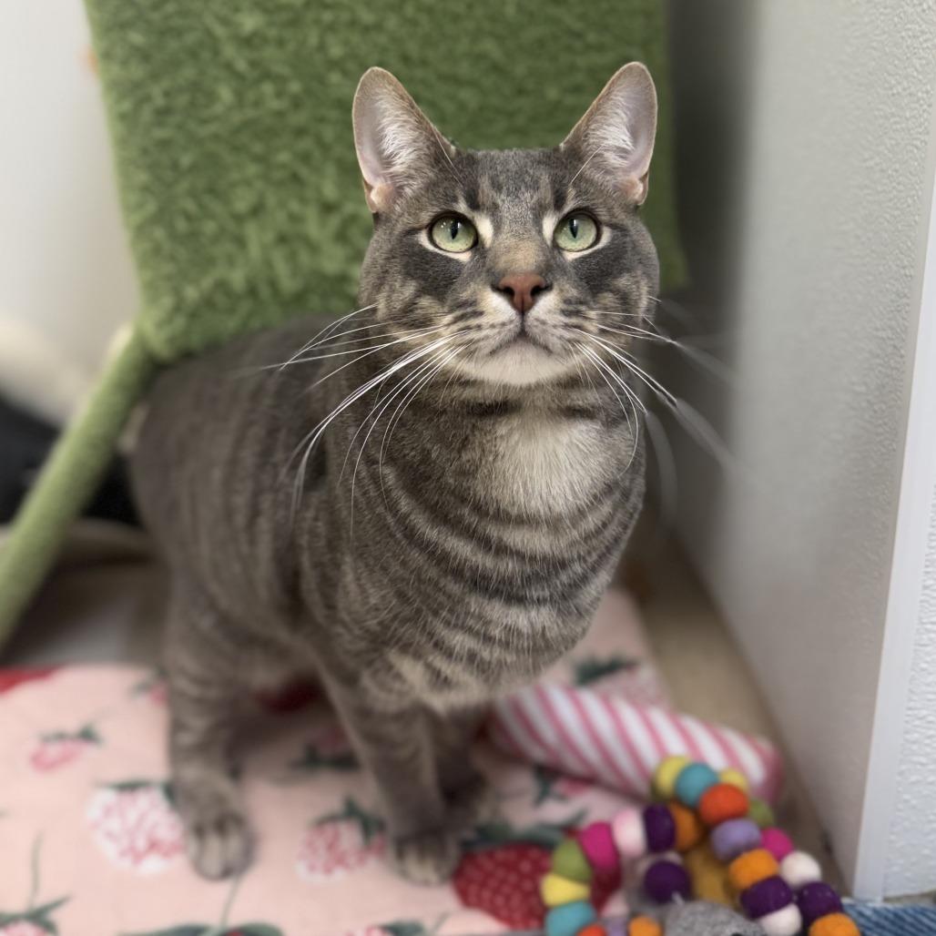 Oliver — thumbnail 2