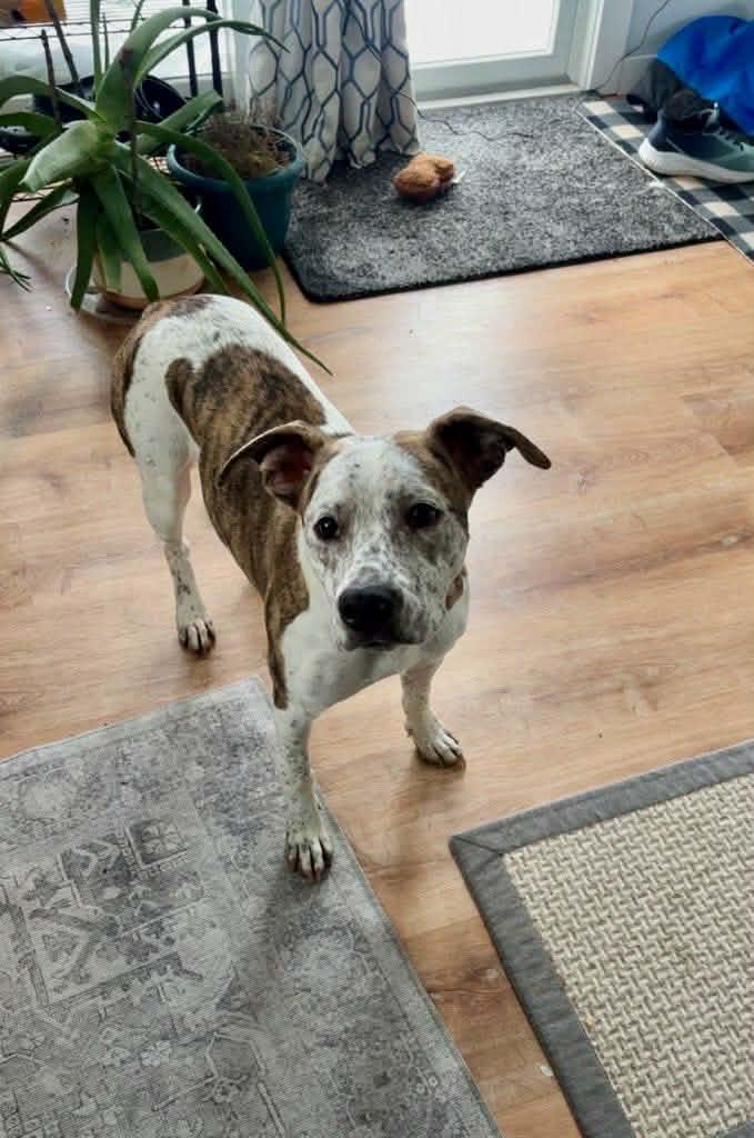 Edith — thumbnail 2