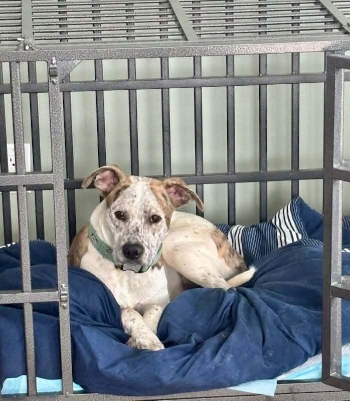 Edith — thumbnail 3