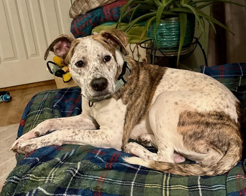 Edith — thumbnail 5