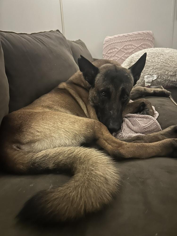 Orbit - Located in FL