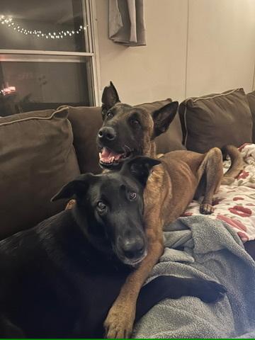 Orbit - Located in FL — thumbnail 2