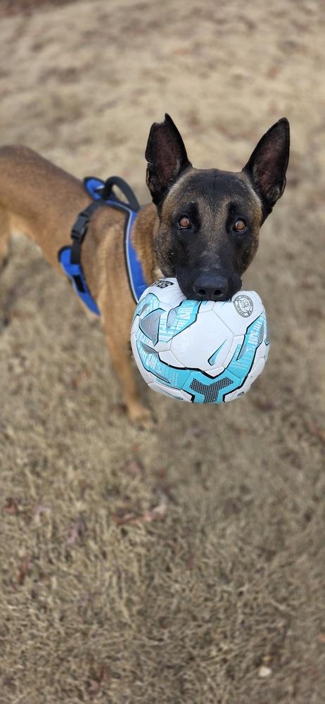 Orbit - Located in FL — thumbnail 3