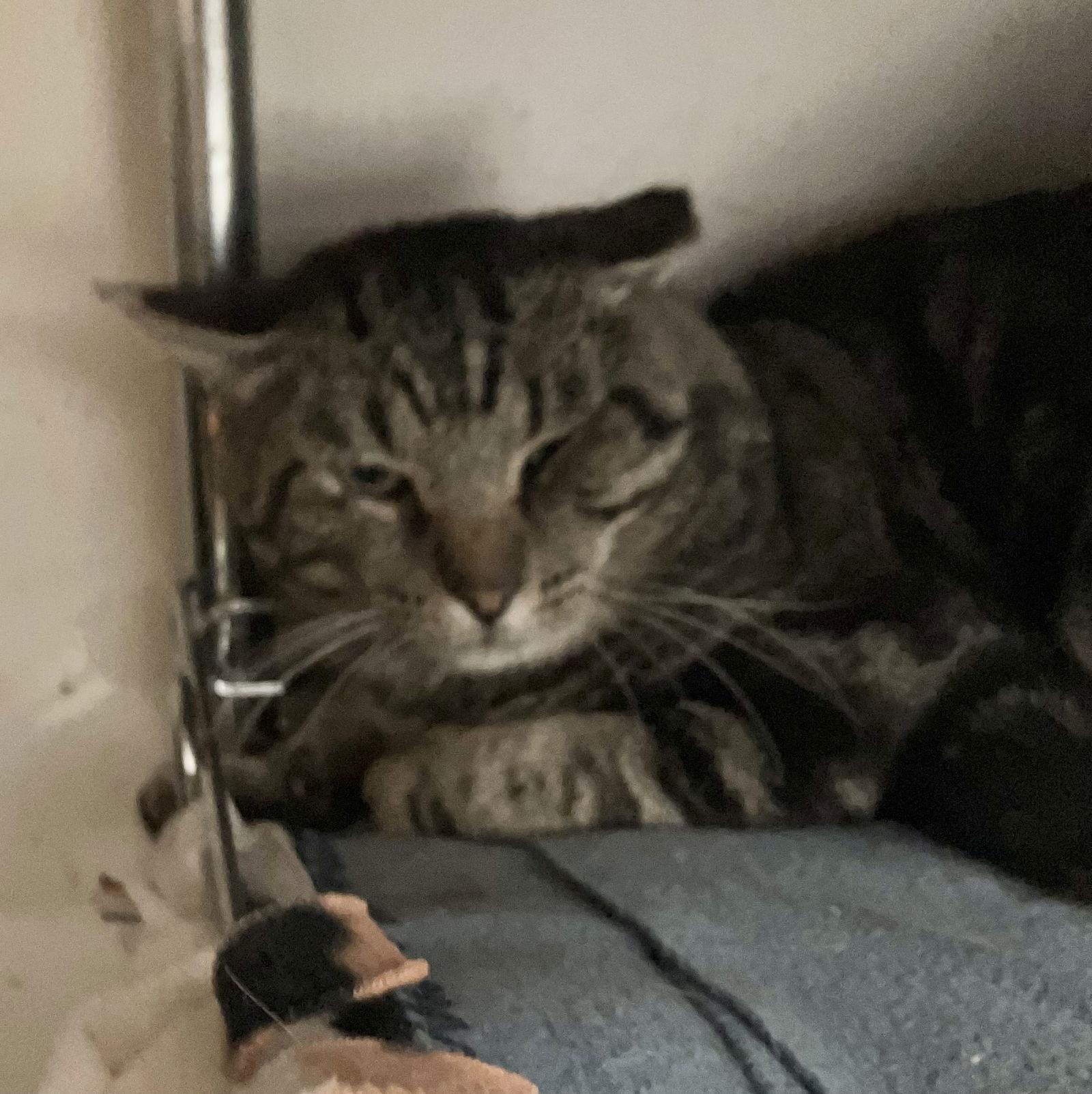 Jace Ryder thumbnail 2