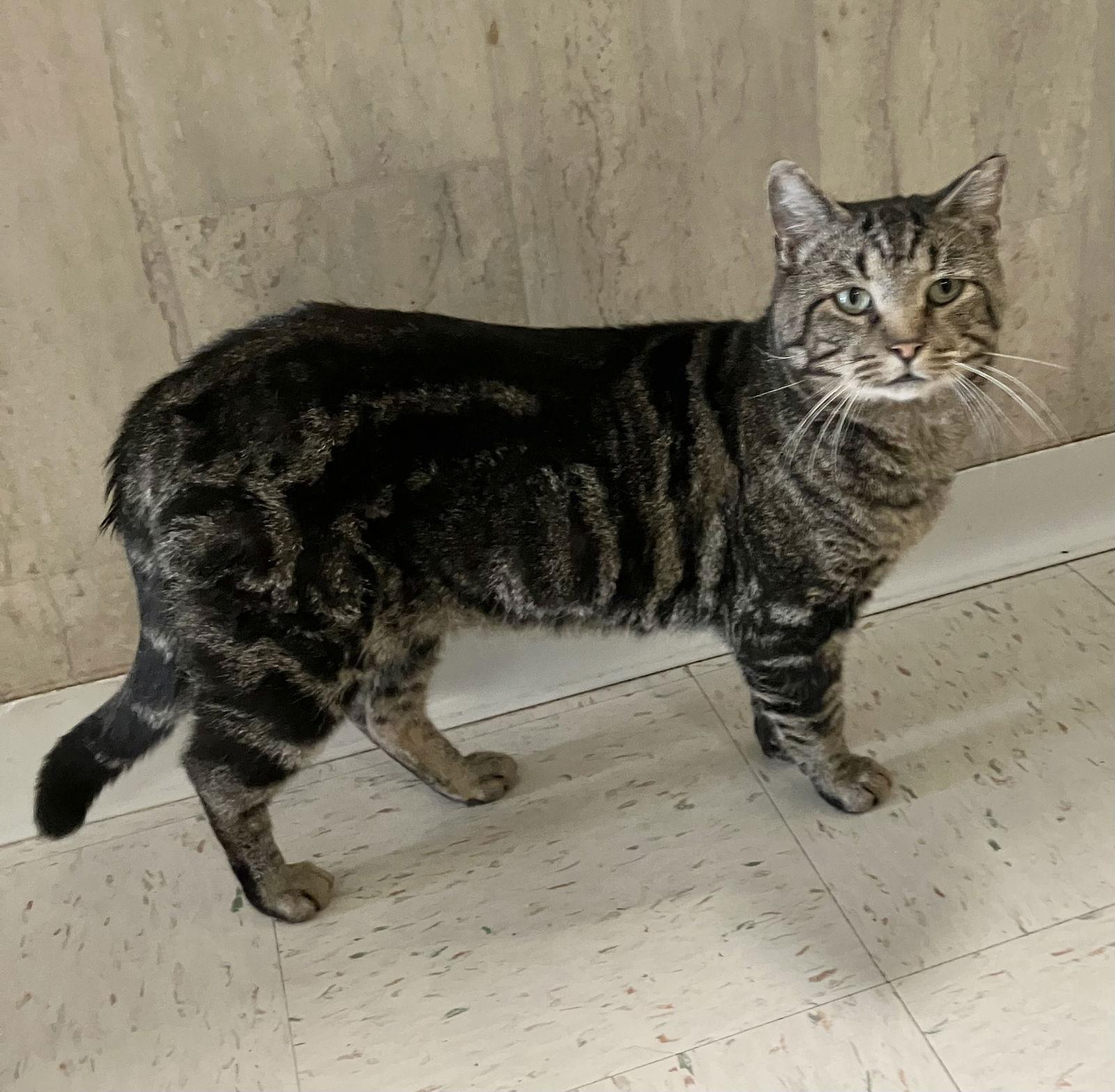 Jace Ryder thumbnail 3