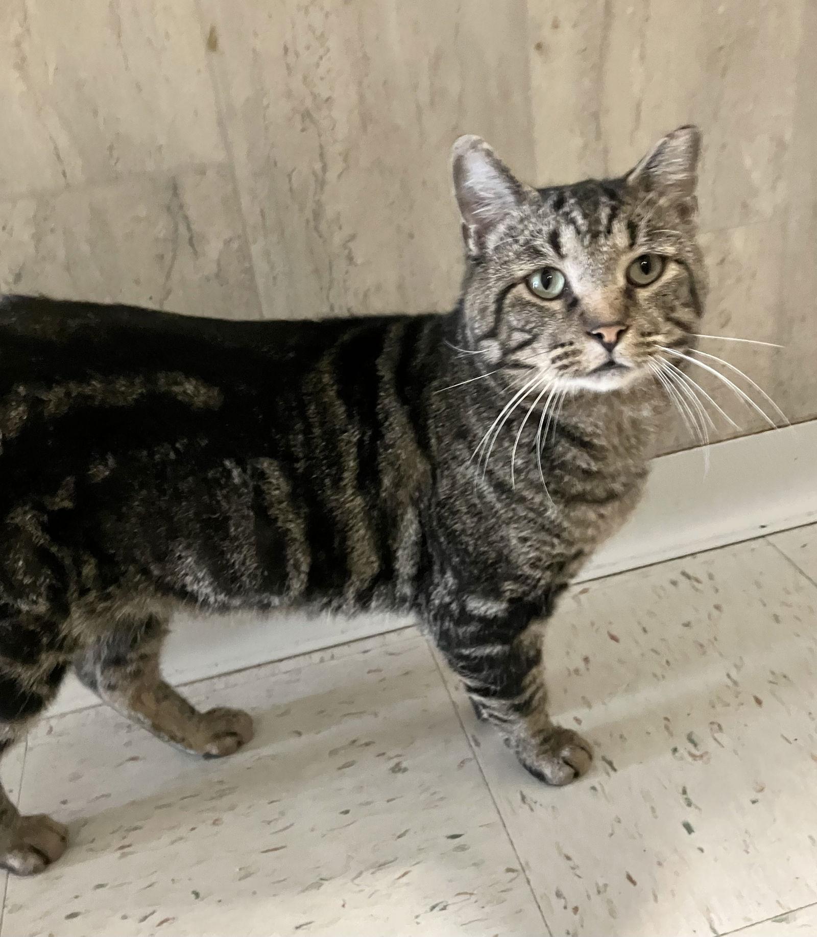 Jace Ryder thumbnail 4