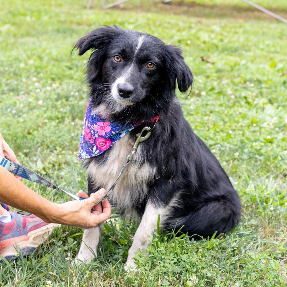 Ellie (Female)   Avail  8/23