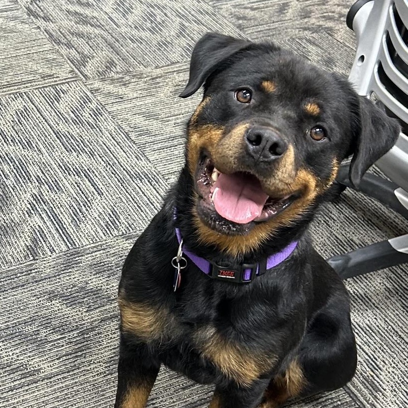 Freya!!