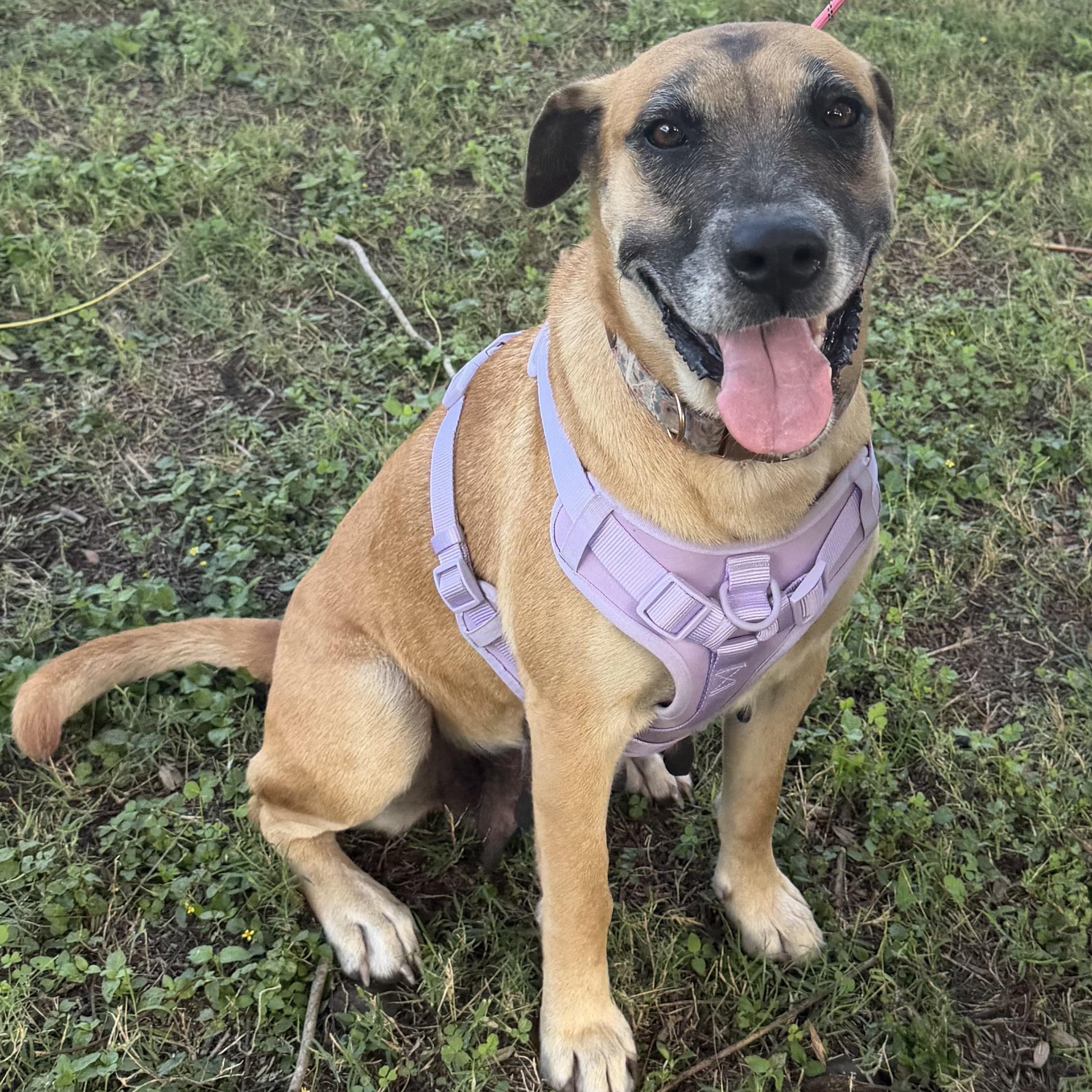 Cookie Crumb — thumbnail 5