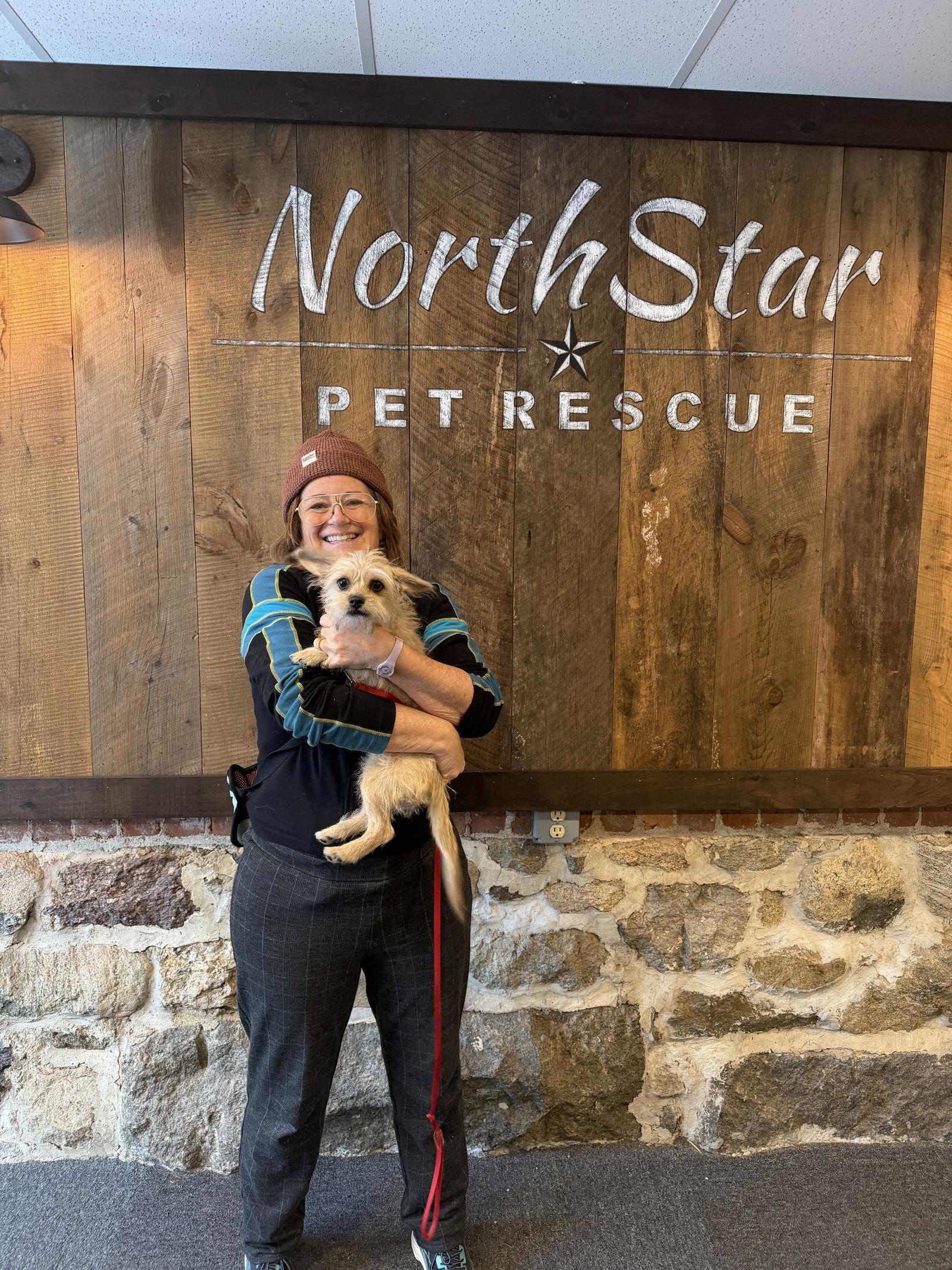 Enlarge Nathalie's Fiona TX, a Adopted mixed breed in Boonton, NJ image 2/3