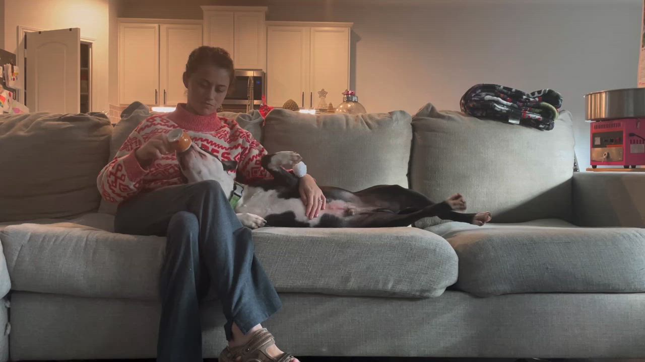 Enlarge Gus Gus, a Adopted mixed breed in New waverly, TX video 3/4