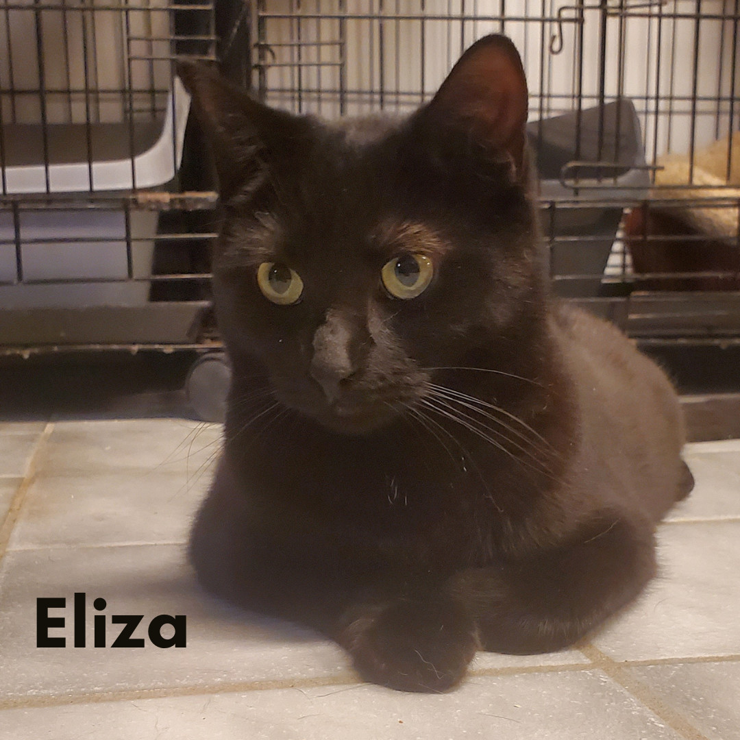 Eliza