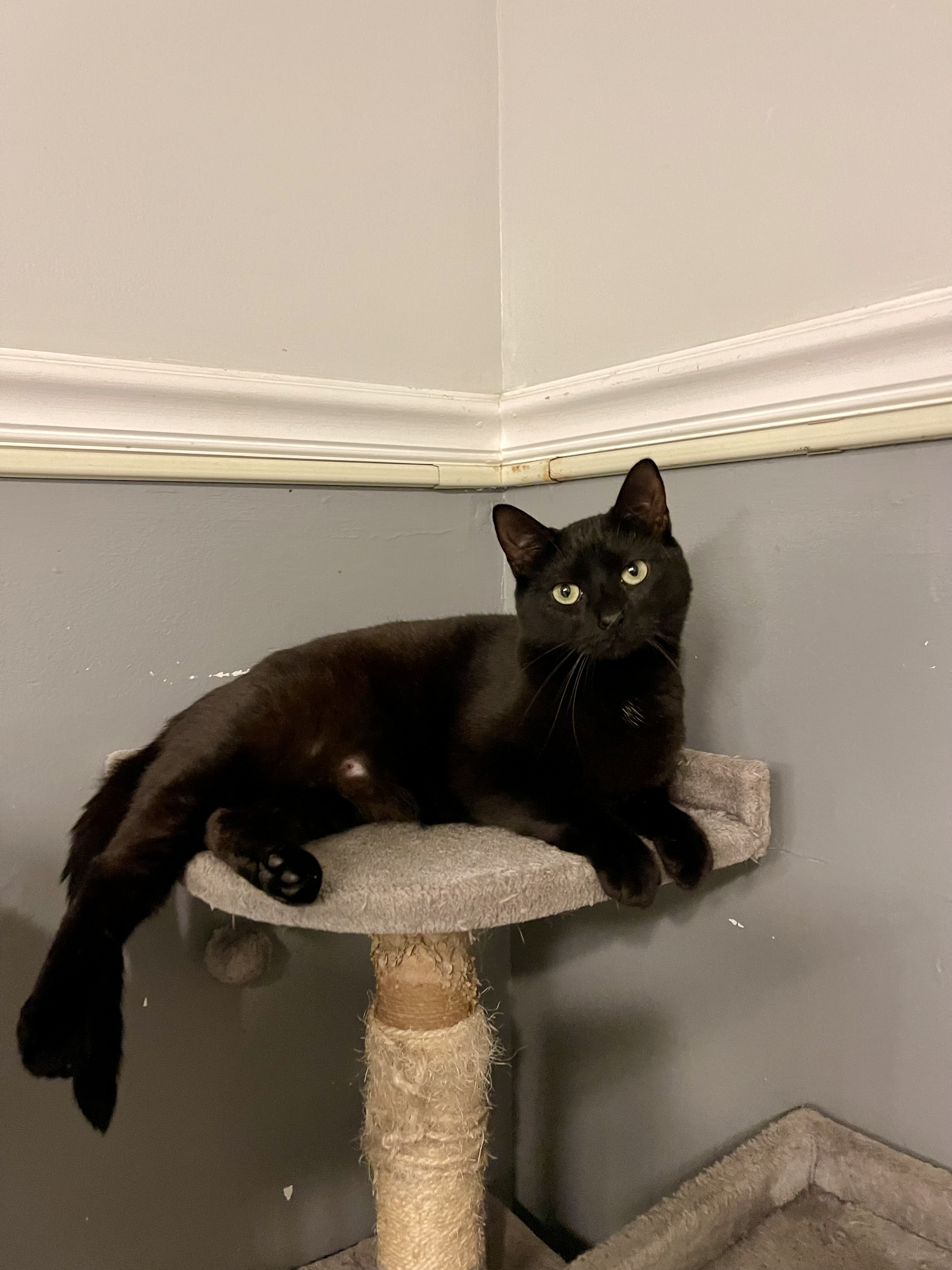 Eliza photo 2