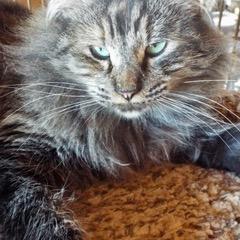 Logic — thumbnail 3