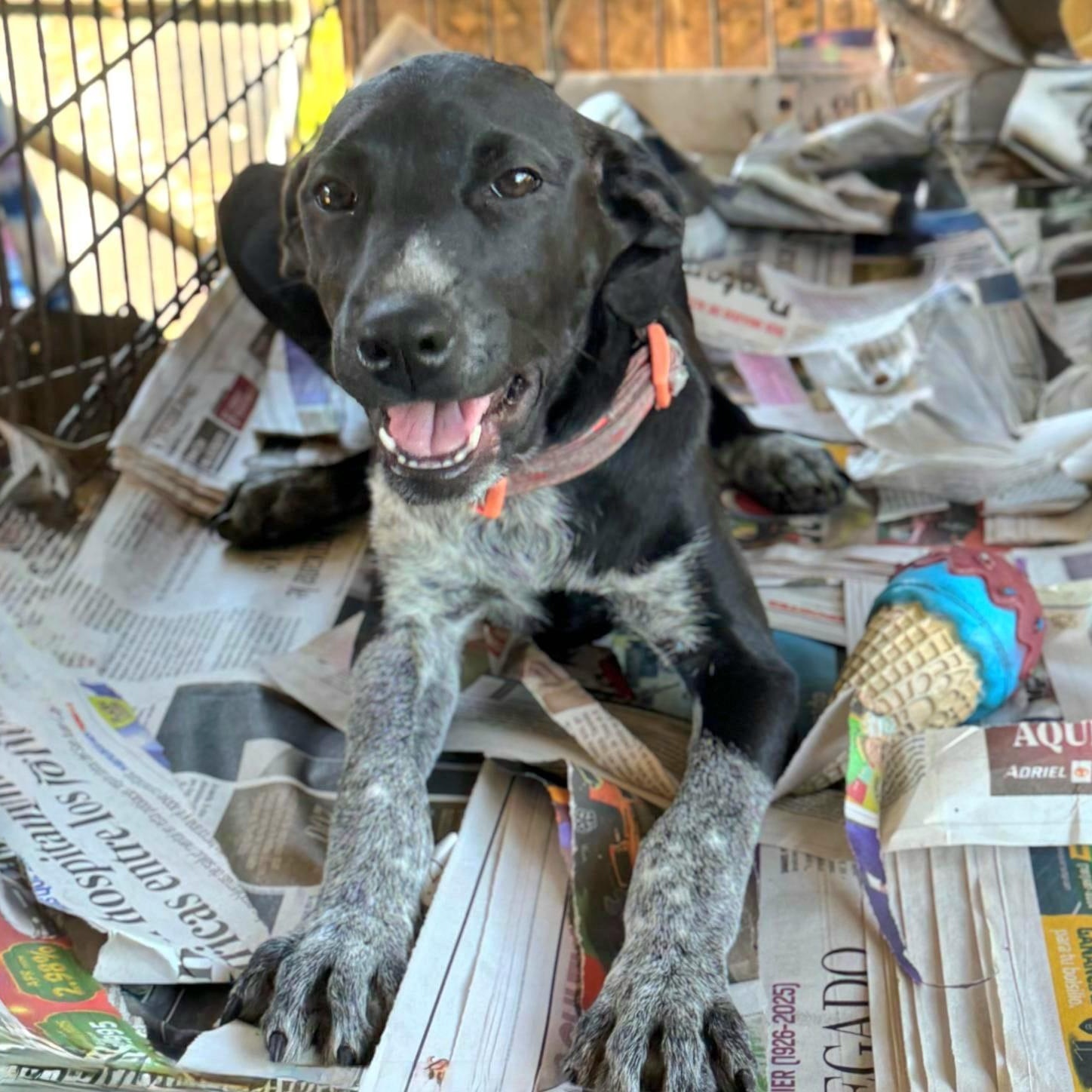 Willow Brook “your Love” thumbnail 2