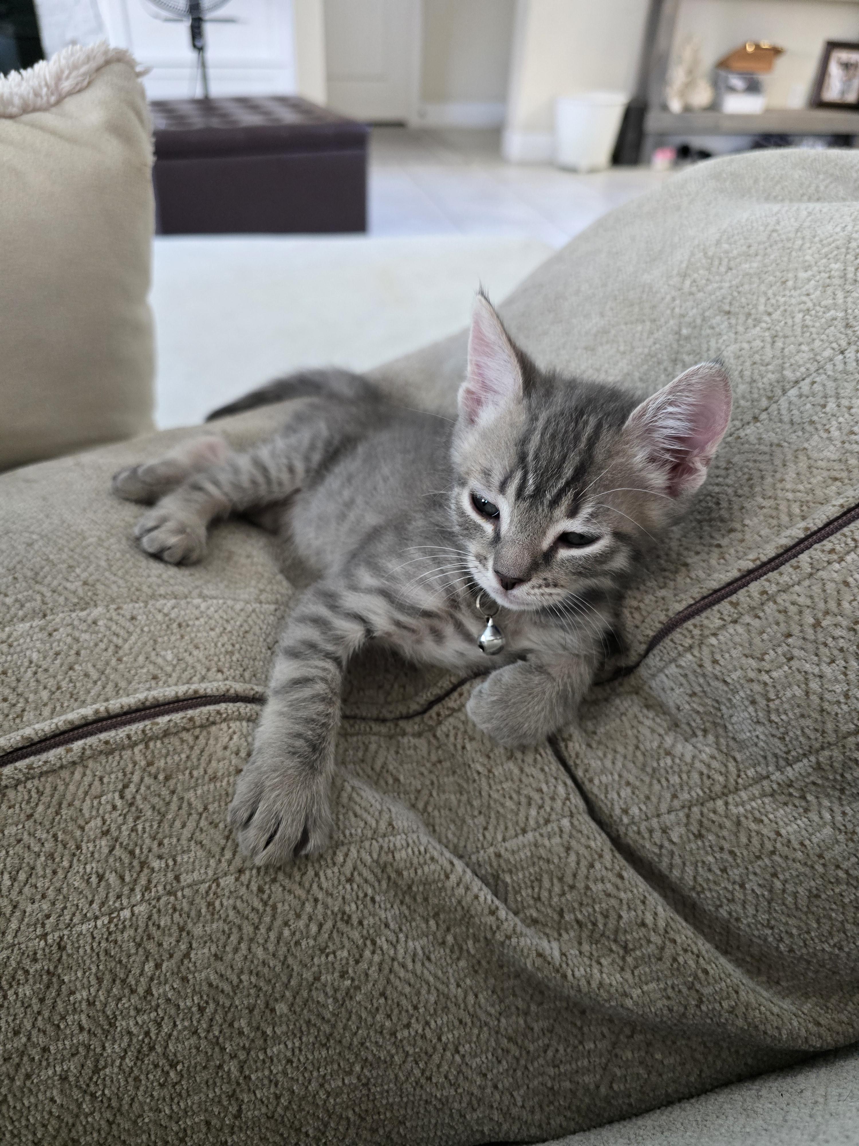 Oakley photo 5