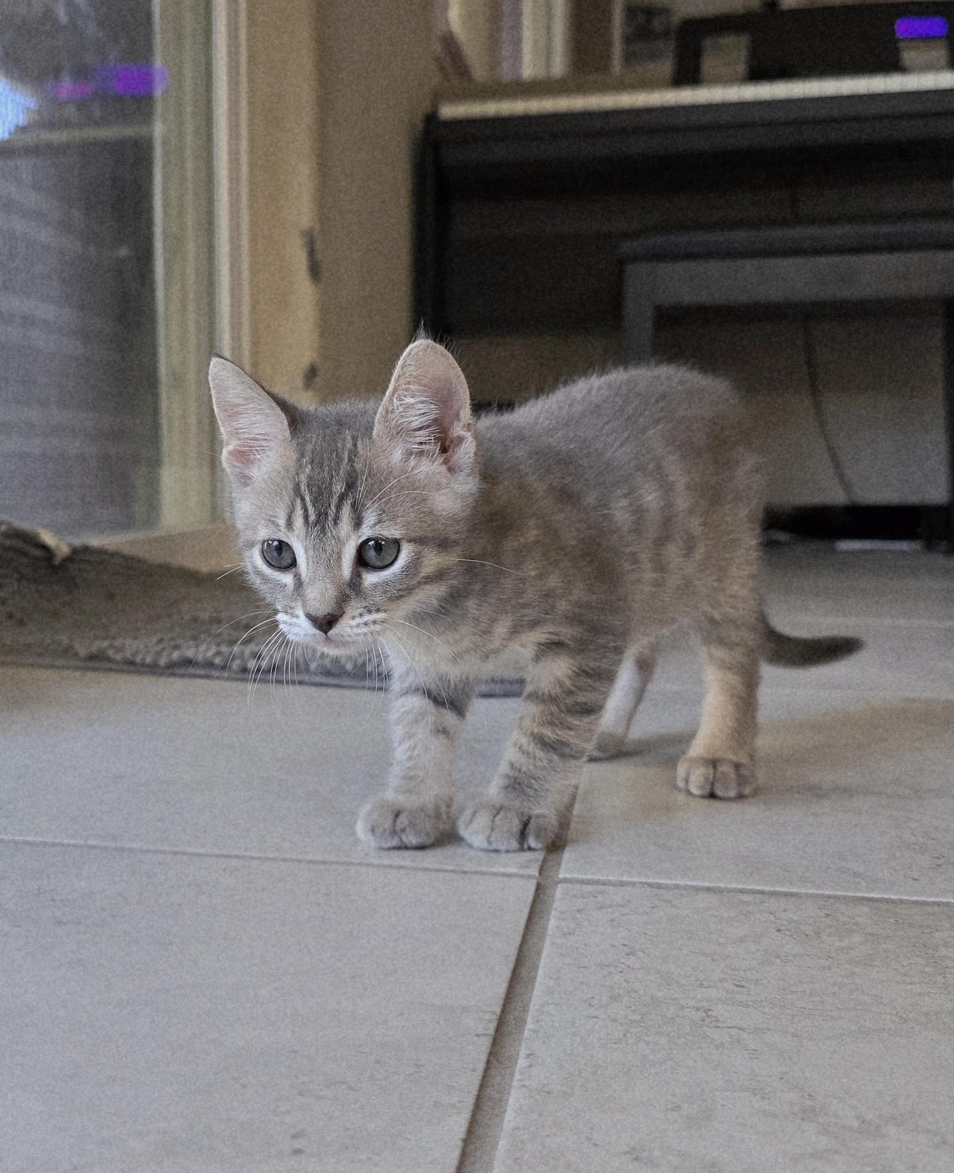 Oakley photo 3