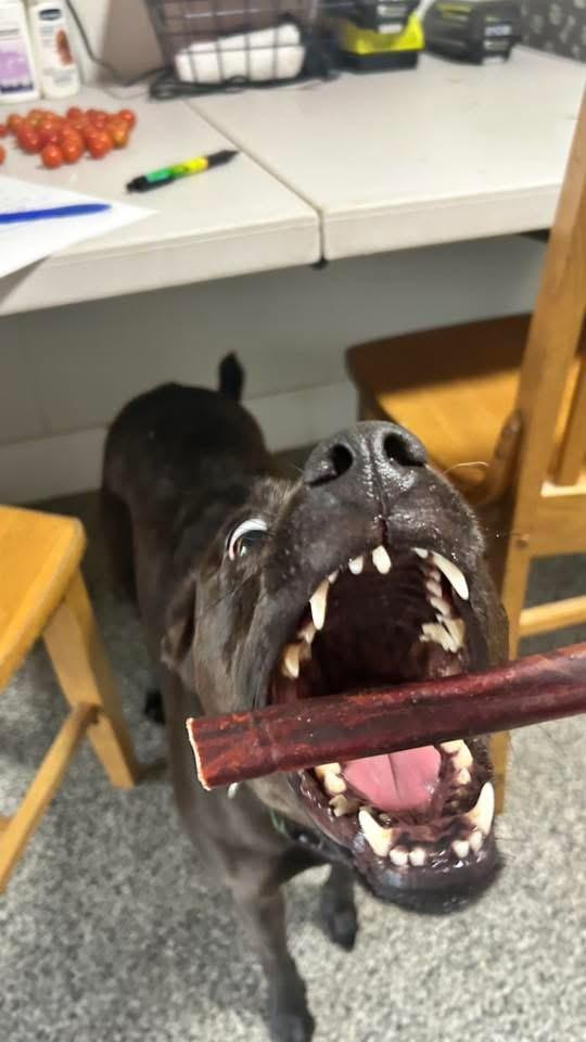 Nora