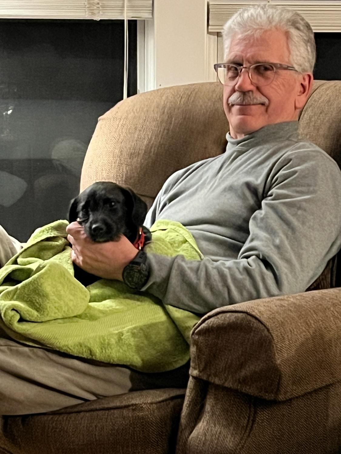 Carrie, an adopted mixed breed in Howell, MI image 5/6