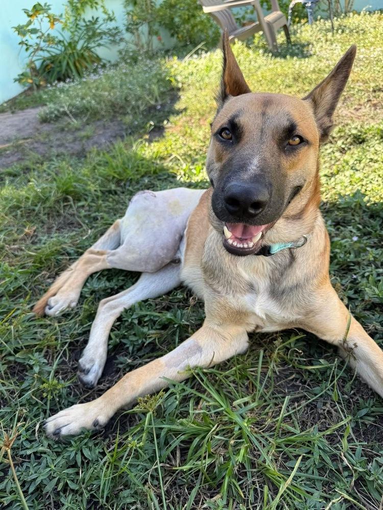 Dale  Located In thumbnail 2