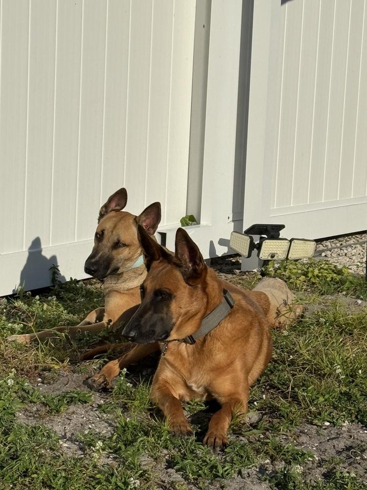 Dale  Located In thumbnail 4