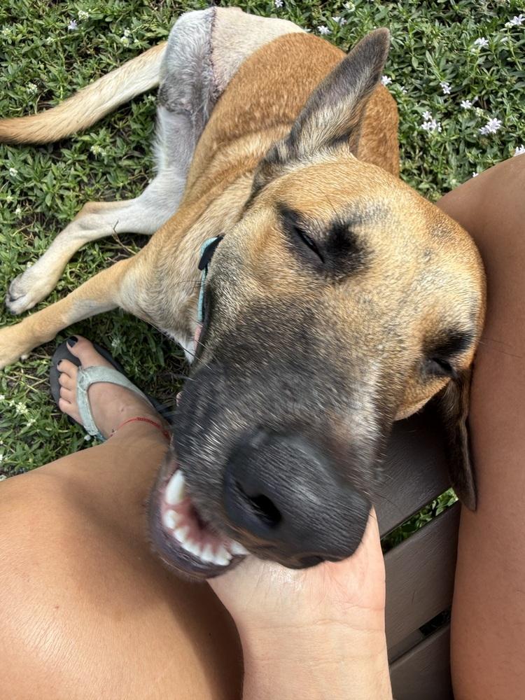 Dale  Located In thumbnail 5