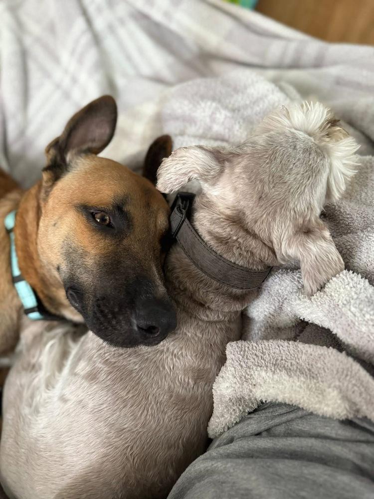 Dale  Located In thumbnail 6