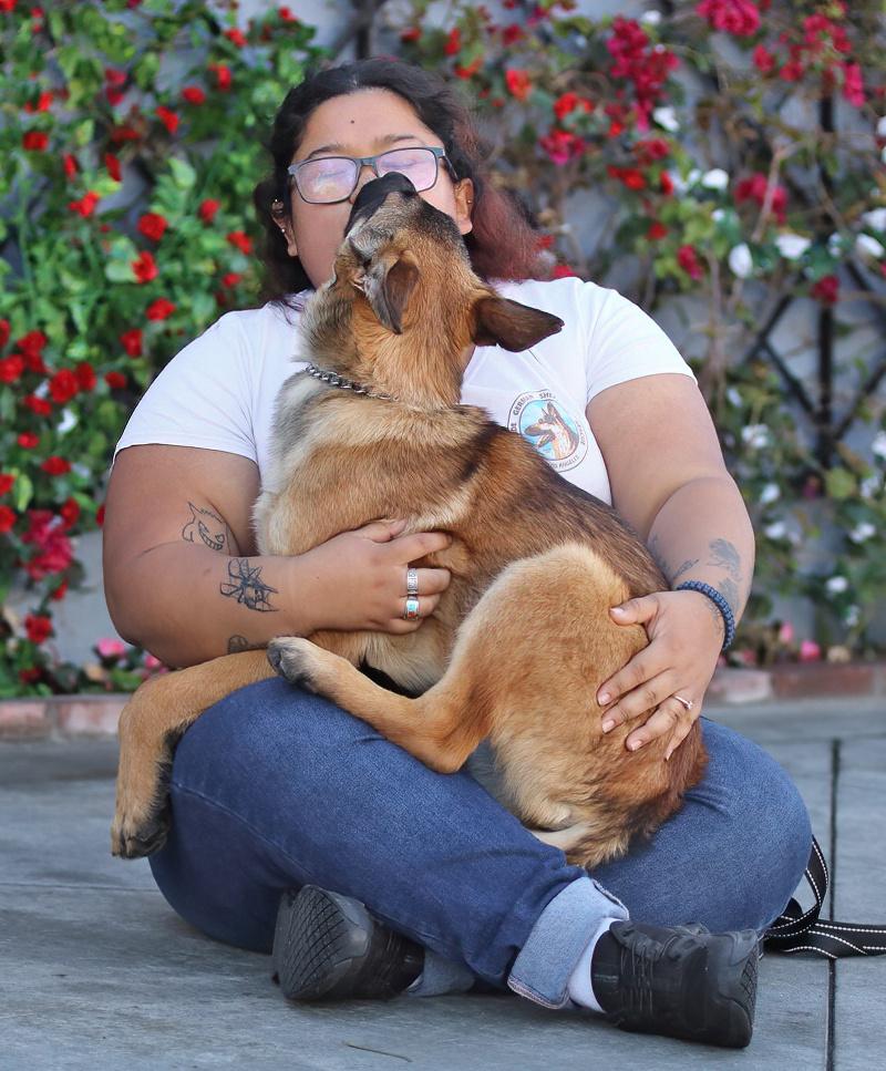 Enlarge *Lily von Sonne, a Adoptable mixed breed in Los Angeles, CA image 3/6