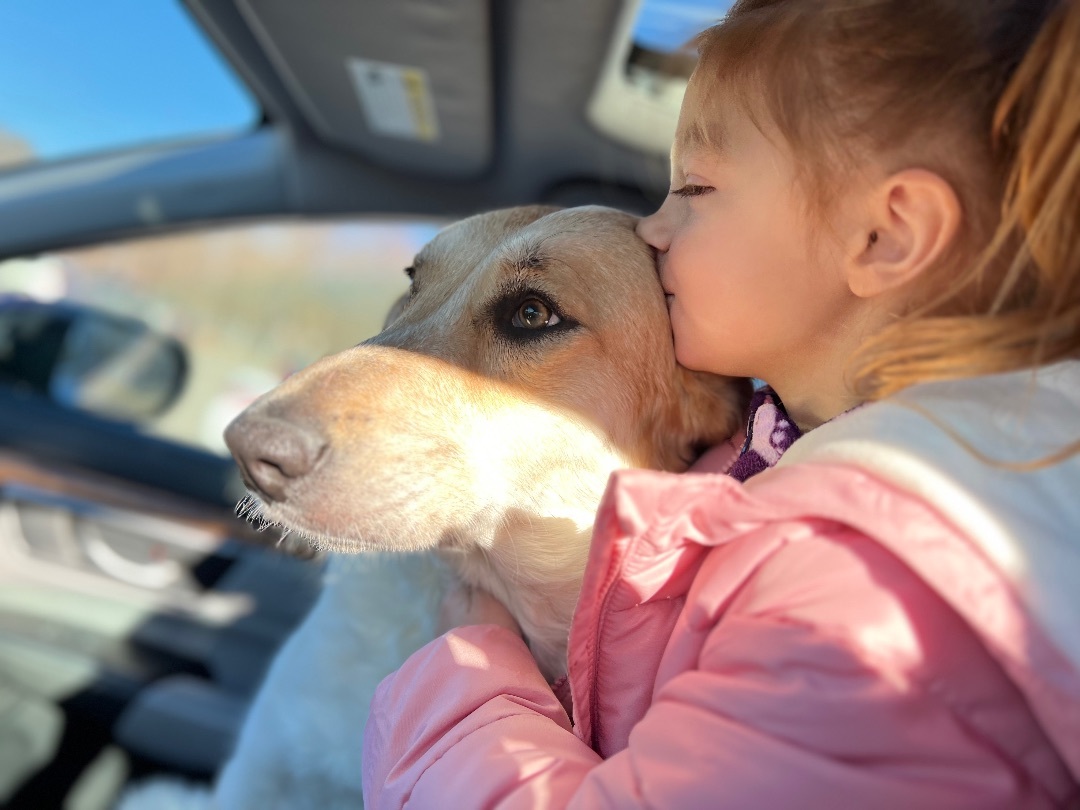 Texas Sunshine, a Adopted mixed breed in Griswold, CT image 4/6