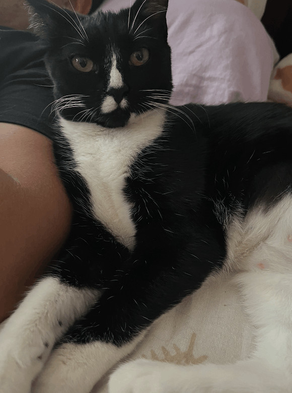 Pepper
