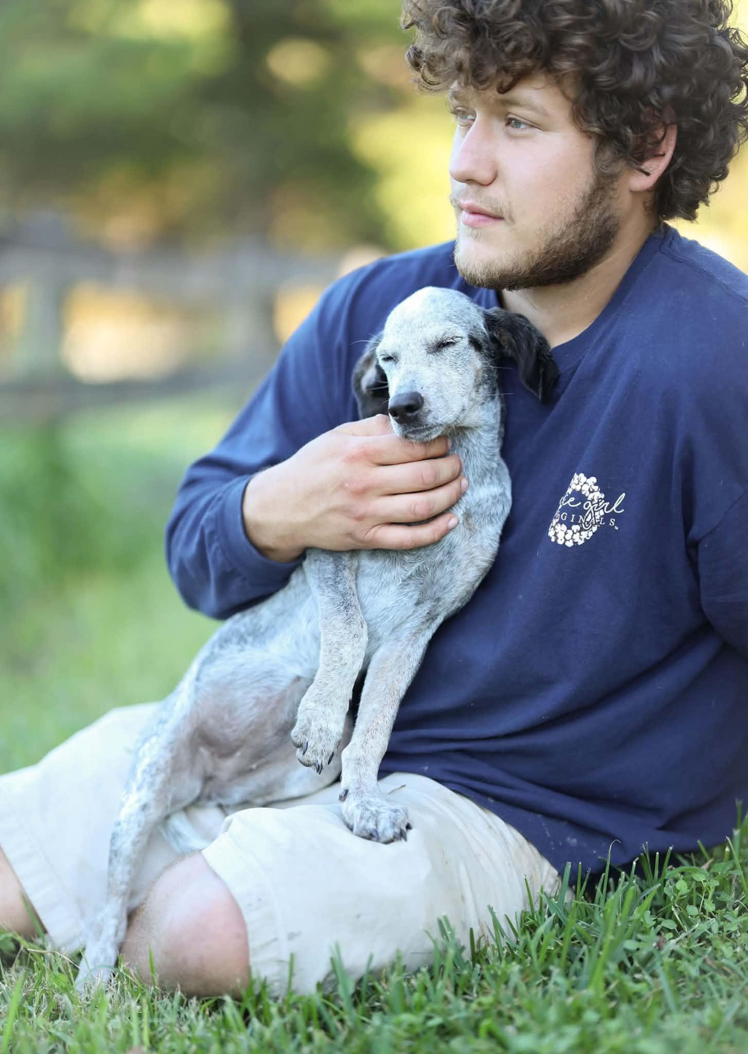 Enlarge Indigo, a Adoptable mixed breed in Rocky Hill, CT image 3/6