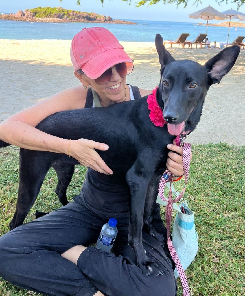 Jewel, a Adoptable mixed breed in San Juan de Abajo, NAY image 3/6