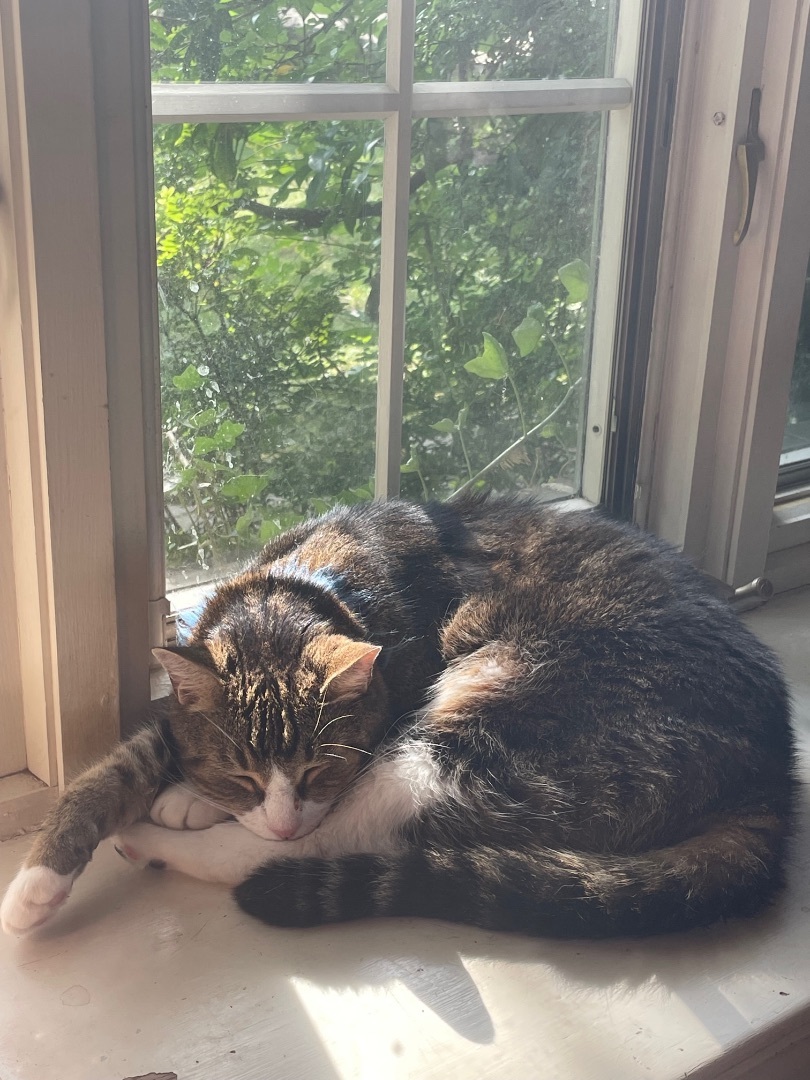 Josh and Matty- Bonded pair 