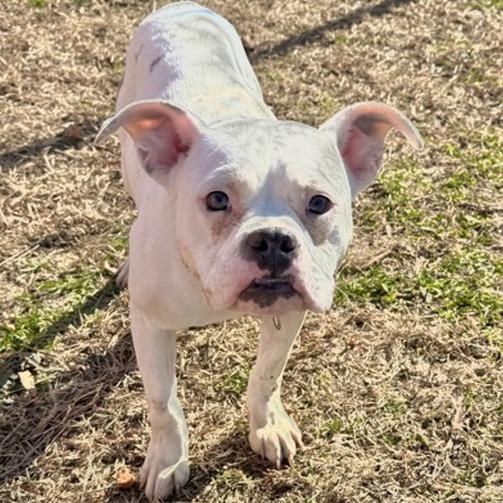 Clawdine thumbnail 4