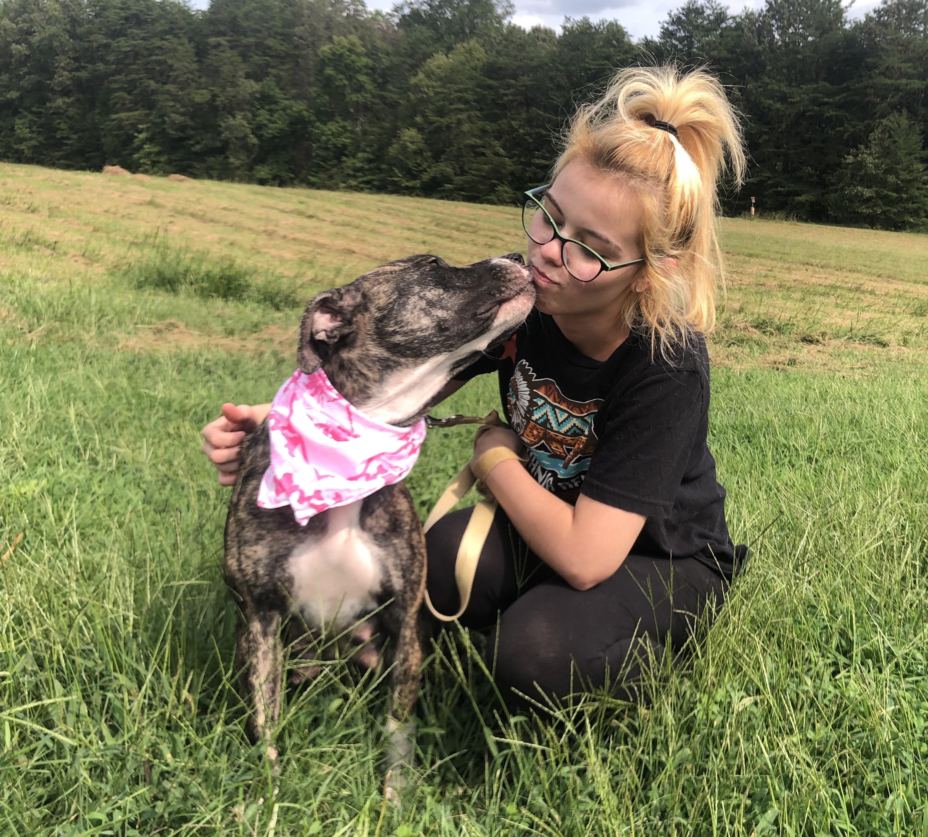 Princess, a Adoptable American Staffordshire Terrier in Palmyra, VA image 4/6